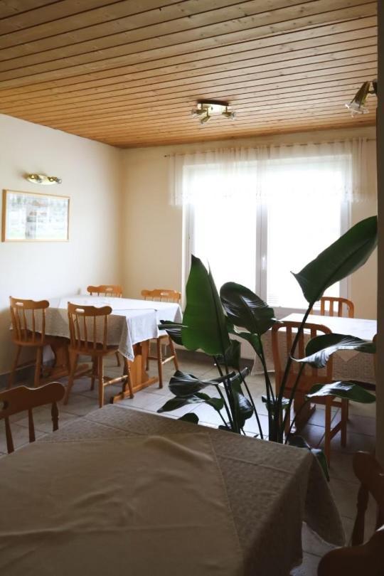 Gasthof Apartments-rooms Kocijancic