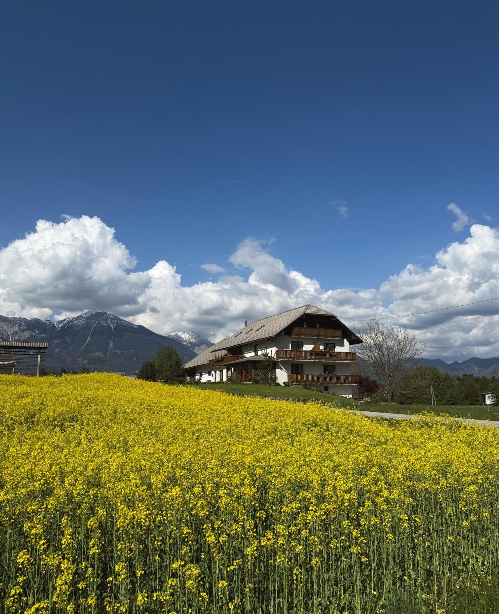 Gasthof Apartments-rooms Kocijancic 3*